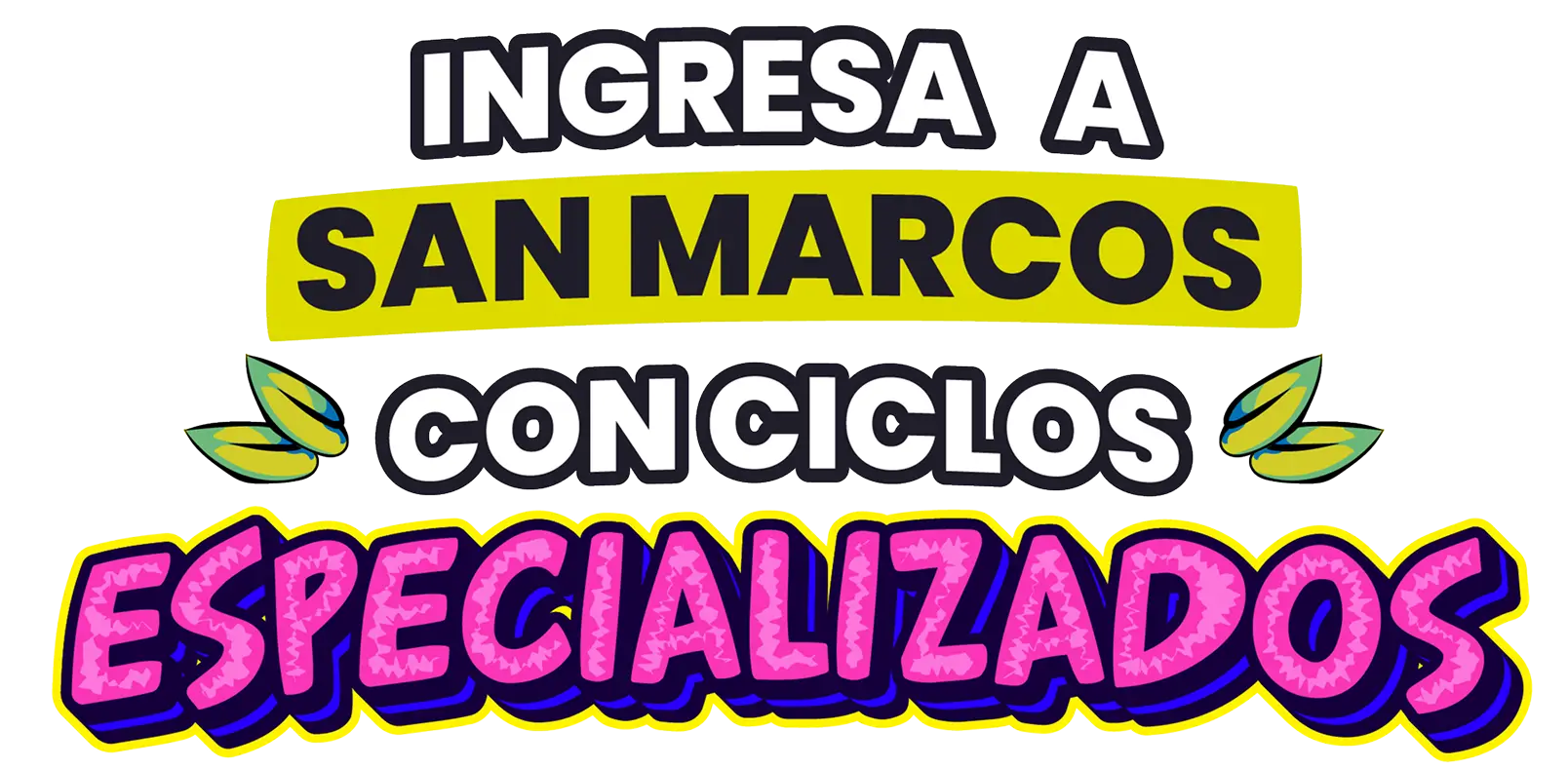 Ingresa a San Marcos con ciclos especializados
