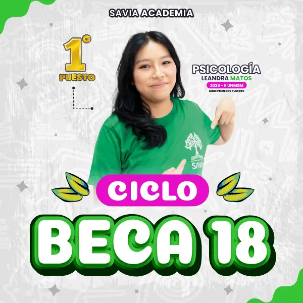 Ciclo Beca 18