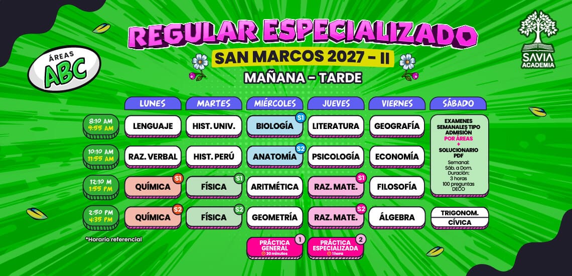 Horario Virtual - Mañana / Tarde