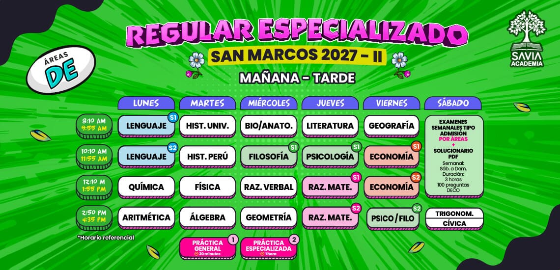 Horario Virtual - Mañana / Tarde