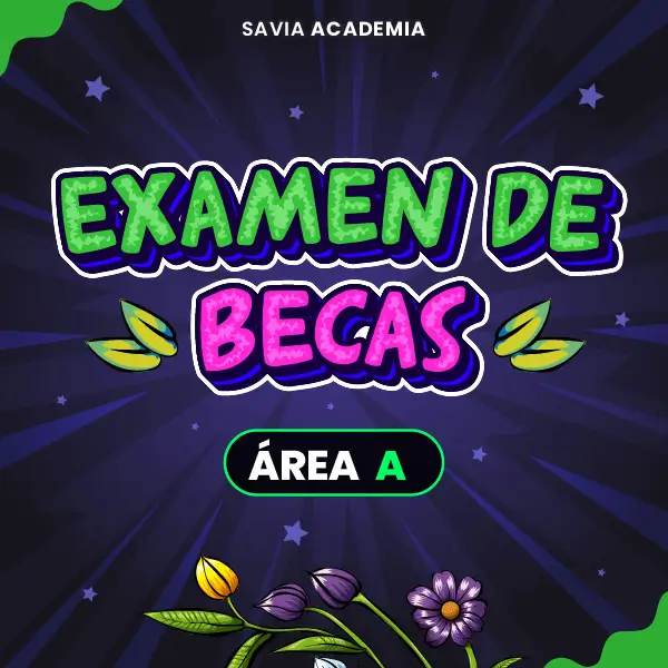 Examen de Becas para Ciclos San Marcos A