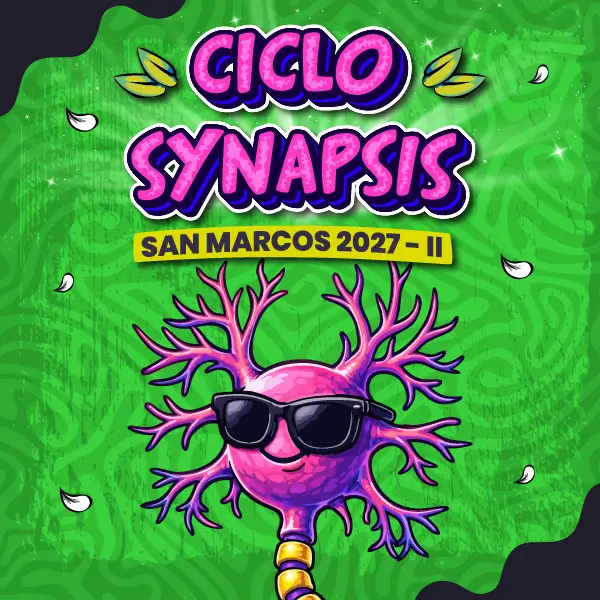 Ciclo Synapsis